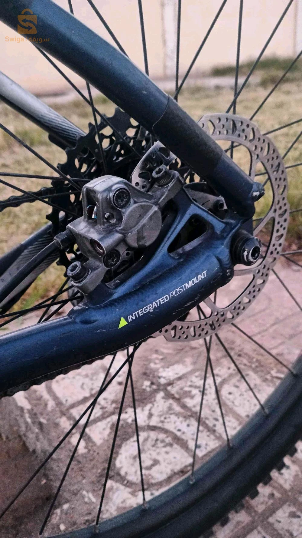 Rokraider xc 50