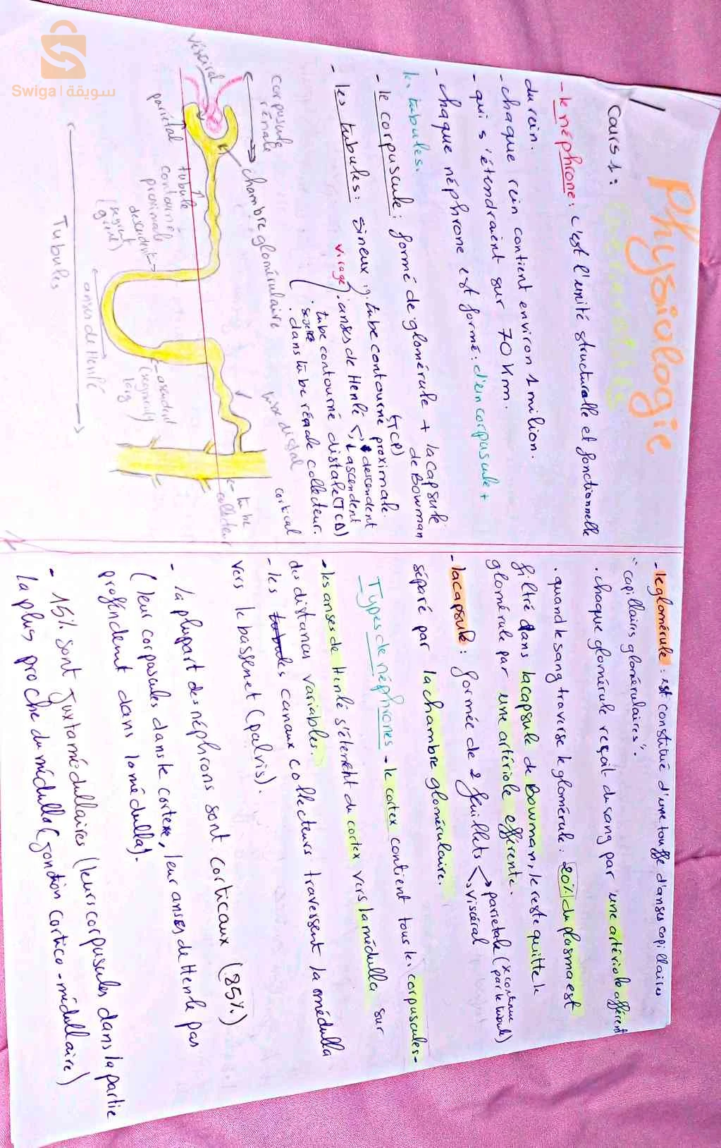 cours de physiologie unité 3 (2éme année médecine )