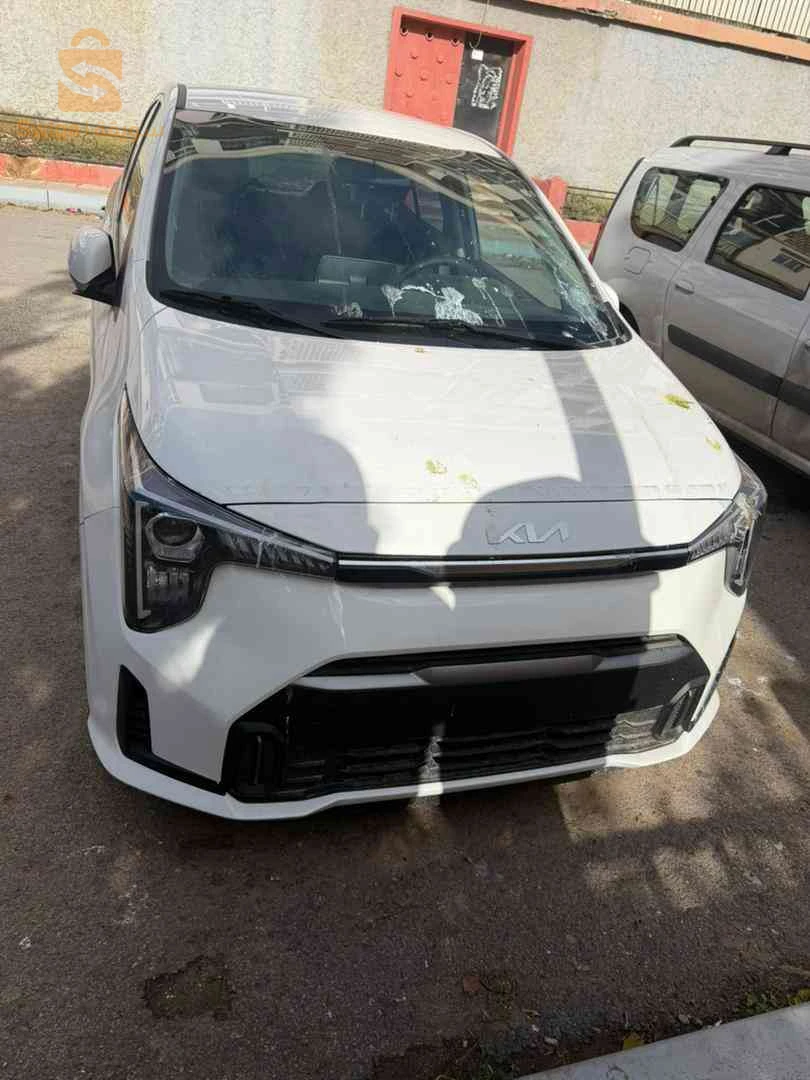 Kia Picanto 2025 16 ALGER