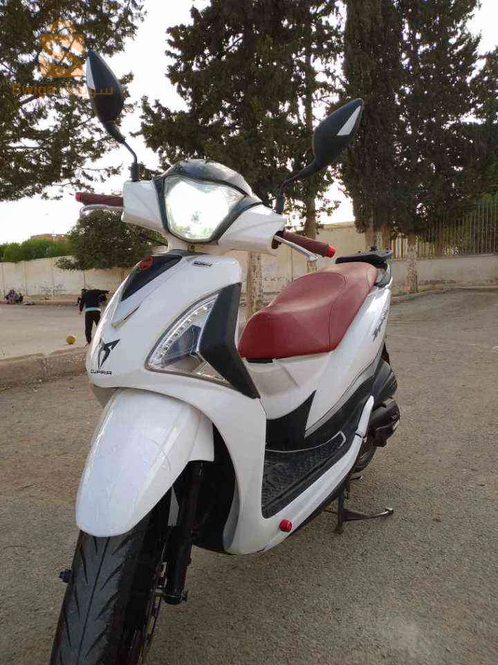نبيع ولا نبرز بسيارة