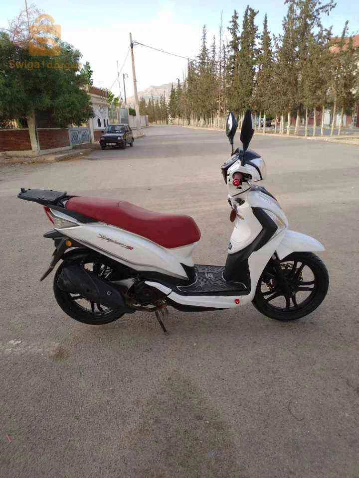 نبيع ولا نبرز بسيارة