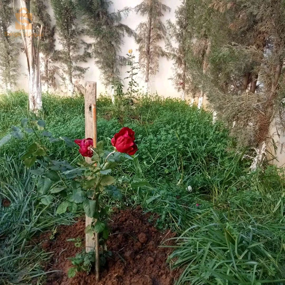 jardinier