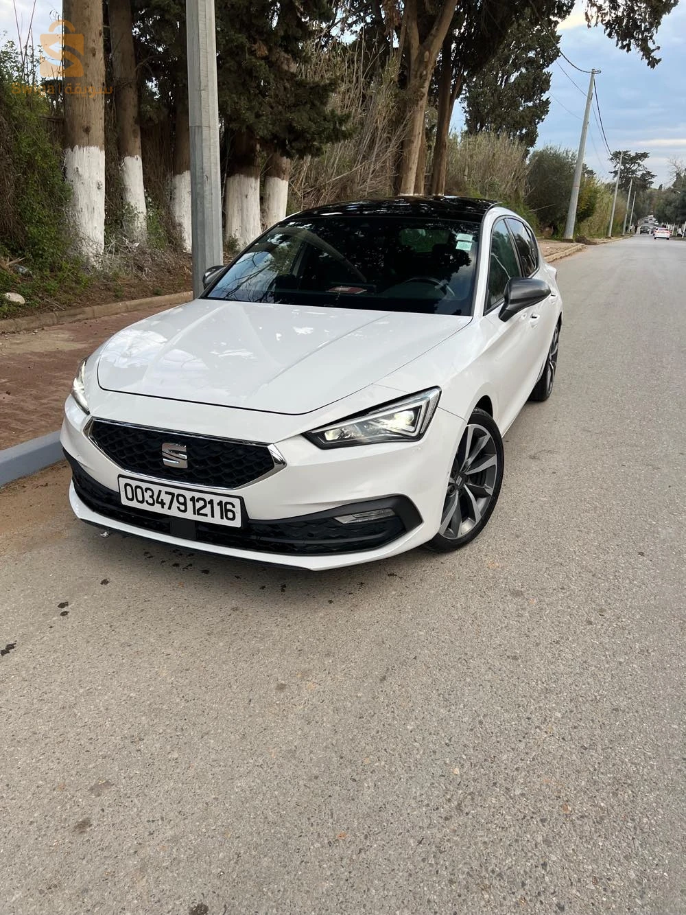 سيات Leon 2021 16 الجزائر