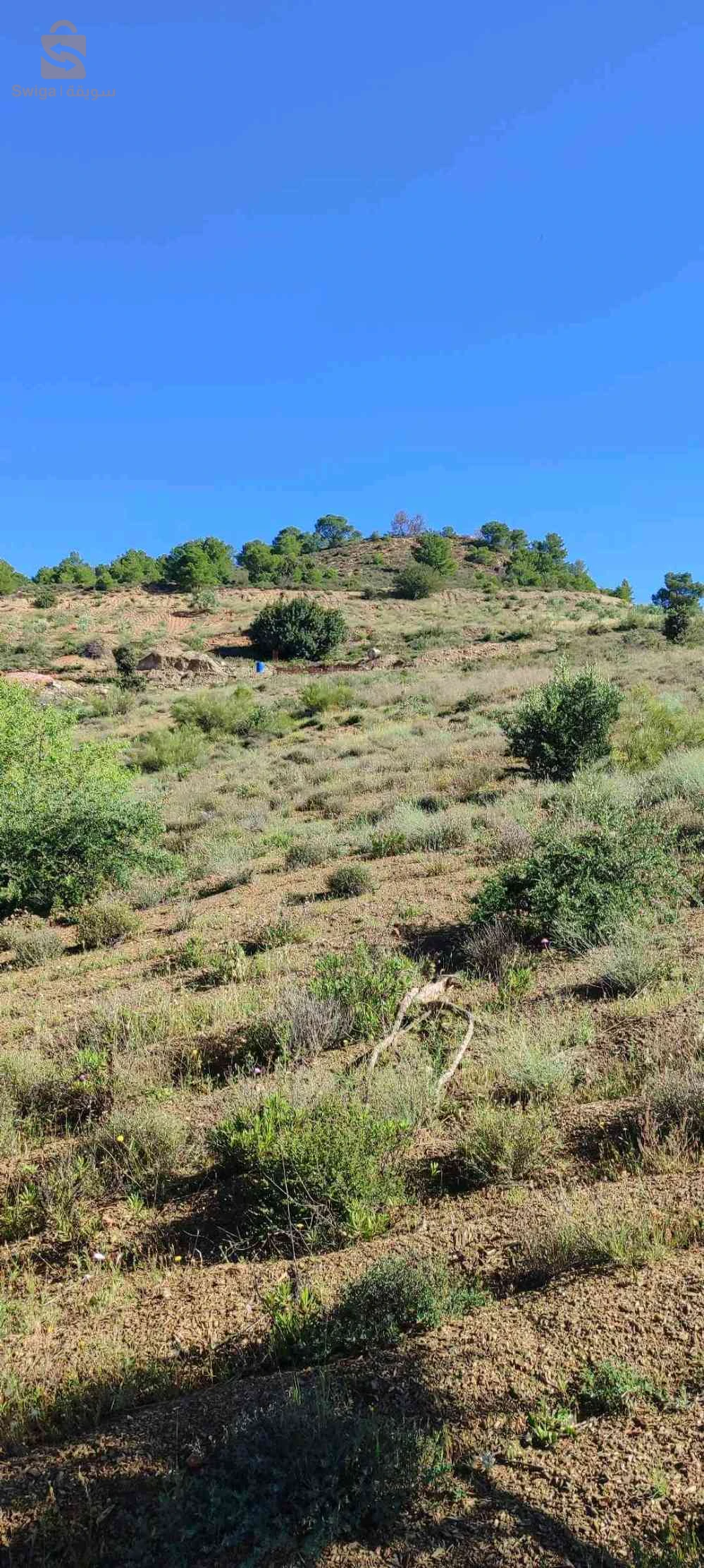 ارض بلادية أمالة ولاية بجاية للبيع او تبديل بي بيت أو شقة