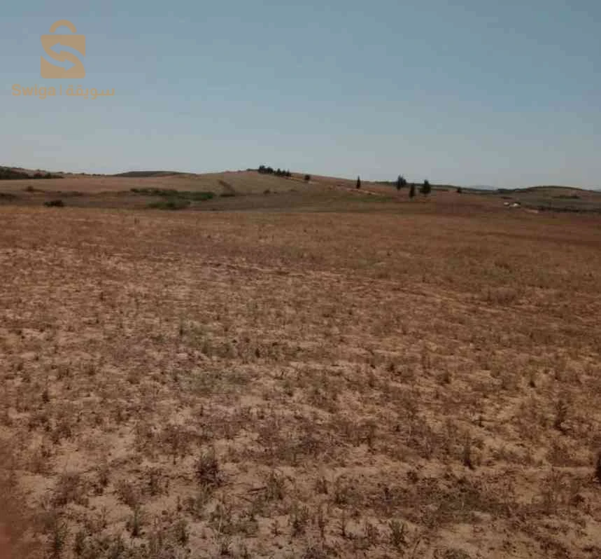 أرض فلاحية للبيع
