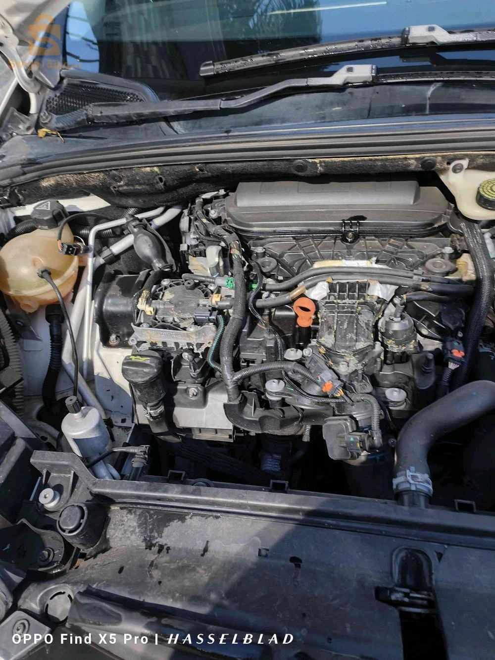 Citroen C4 2013 9 BLIDA