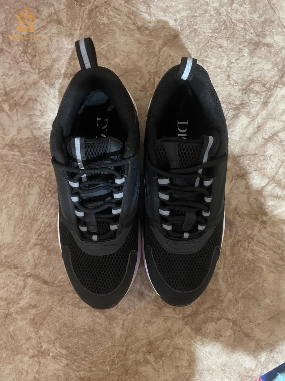 Dior B22