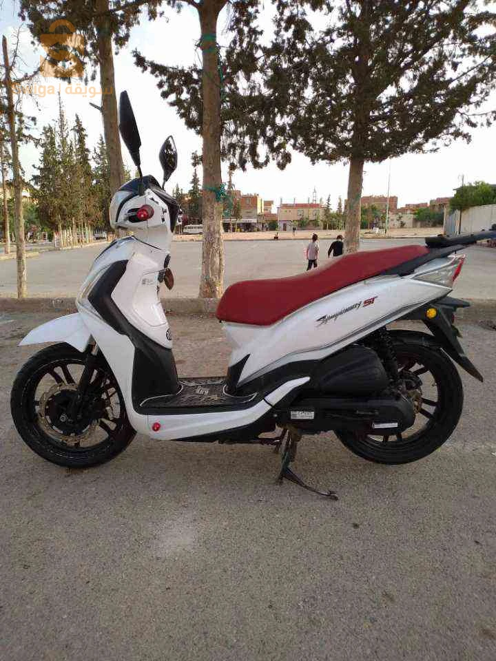 نبيع ولا نبرز بسيارة