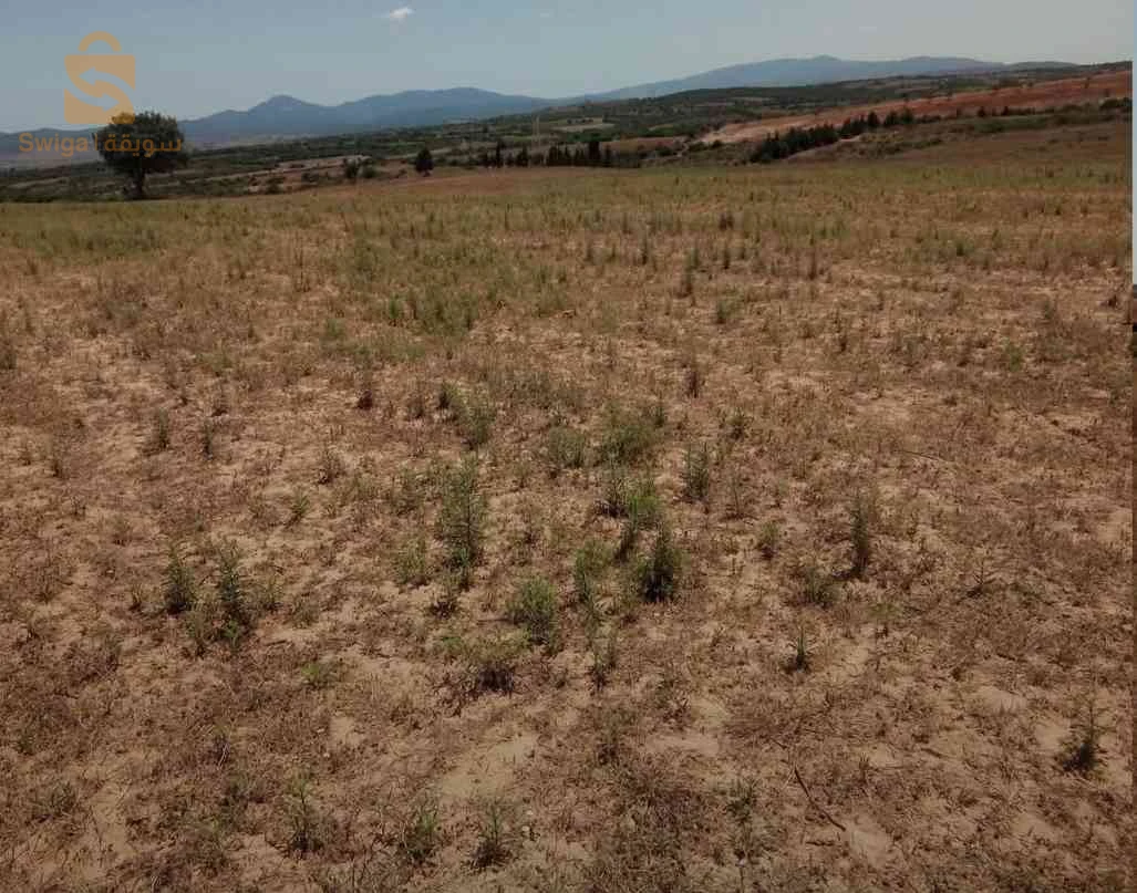 أرض فلاحية للبيع