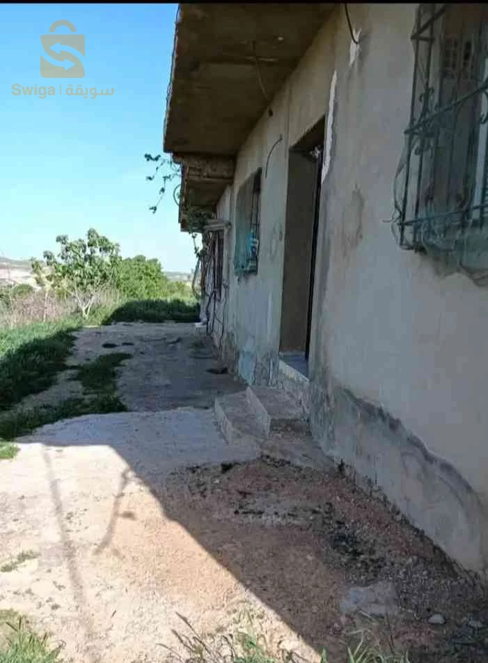 سكن ريفي بلاصة شابة كلش واصل