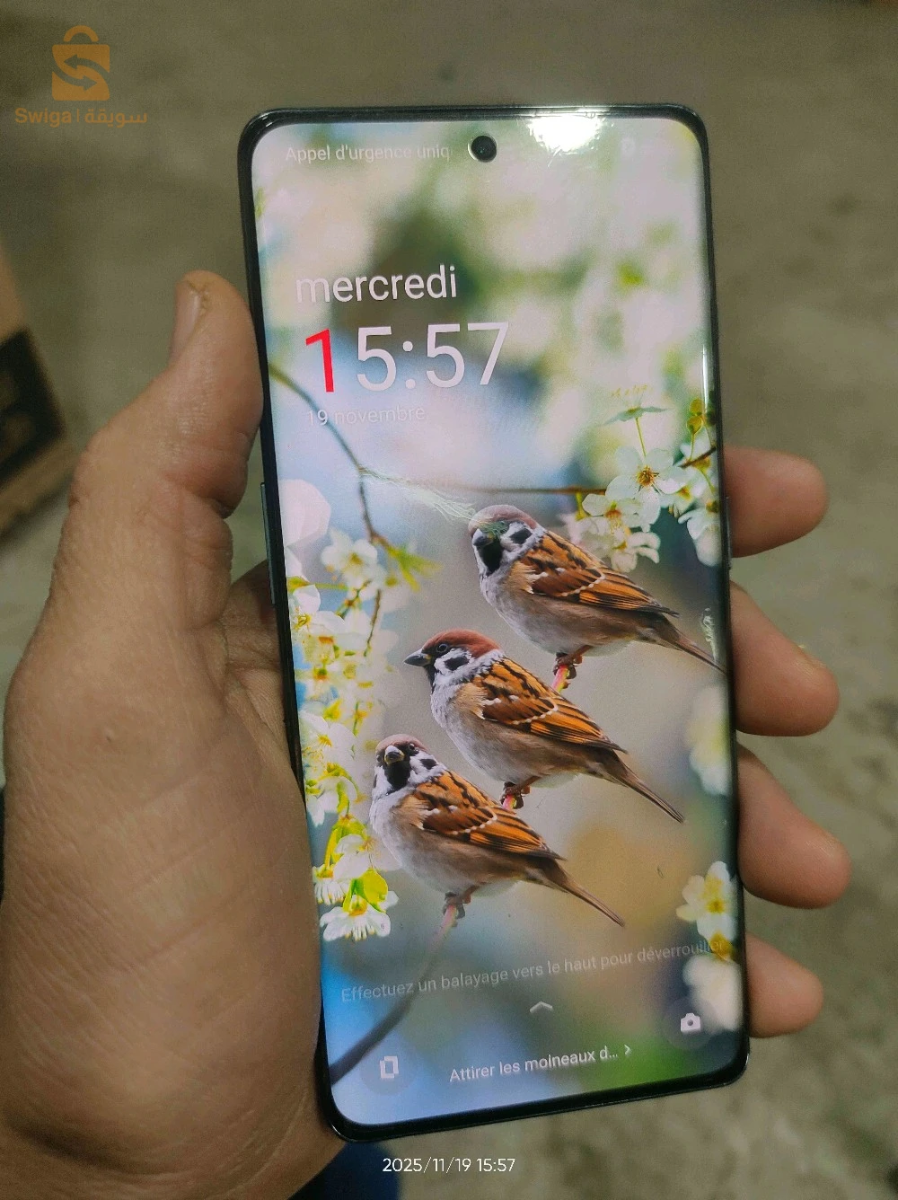 OnePlus ace2 (11R)