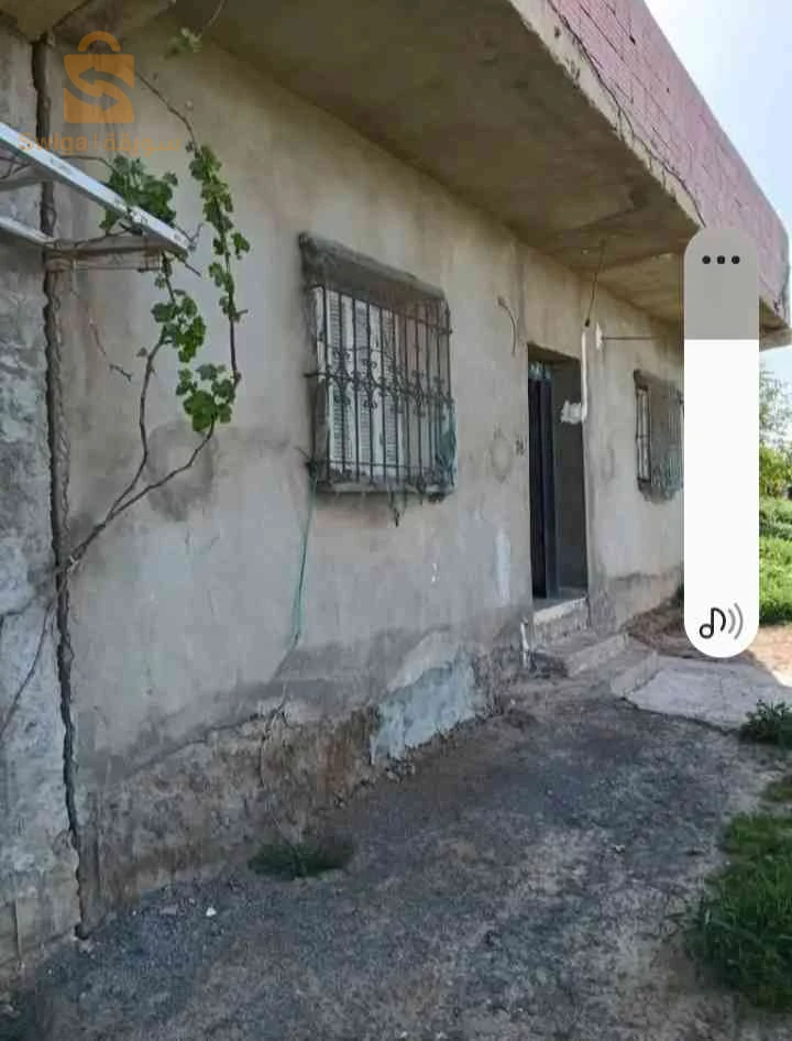 سكن ريفي بلاصة شابة كلش واصل