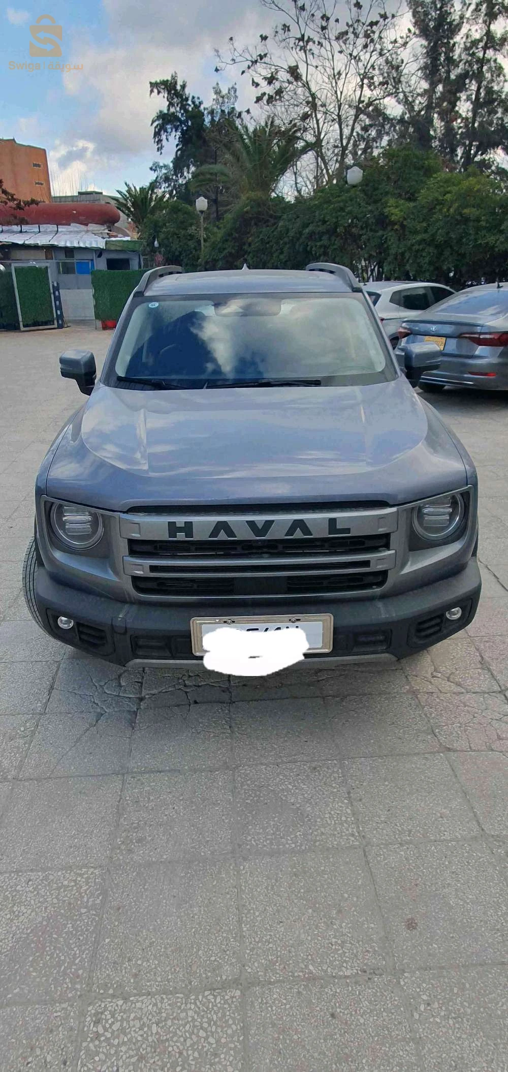 غريت وول 2023 26 المدية