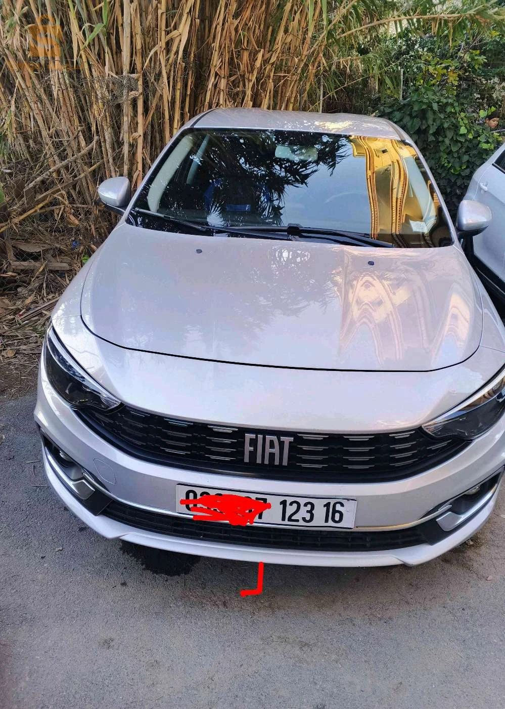 فيات Tipo Sedan 2023 16 الجزائر