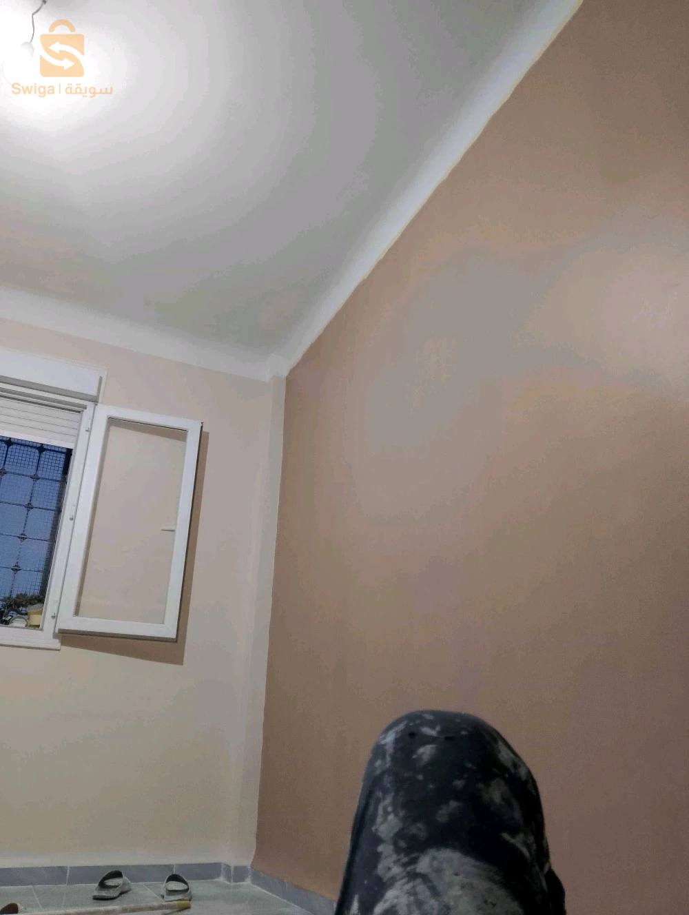بانتر كاليفي