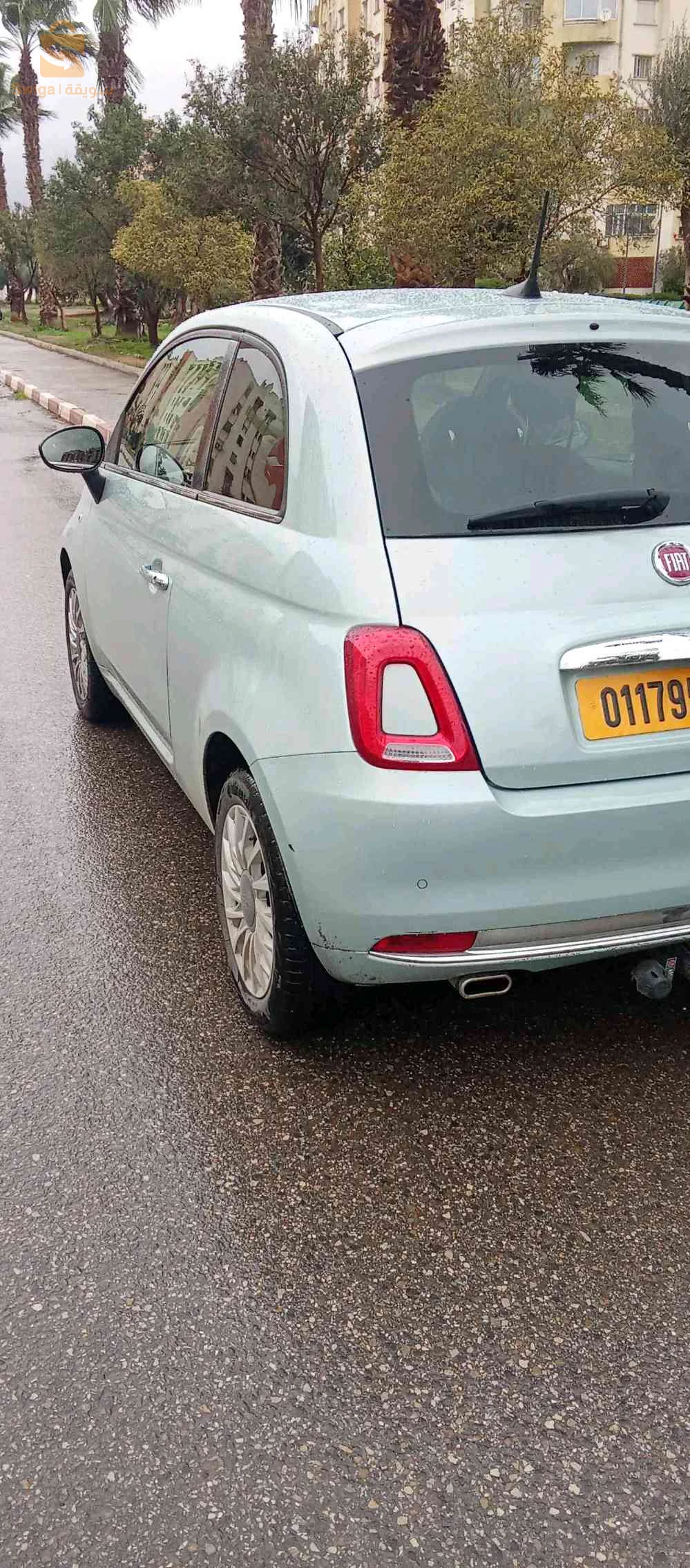 Fiat 500 2025 16 ALGER