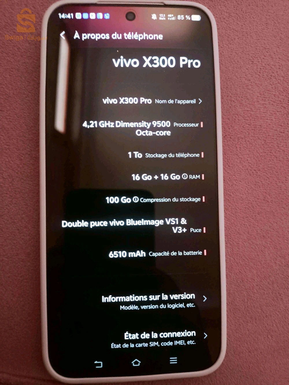 vivo x 300 pro