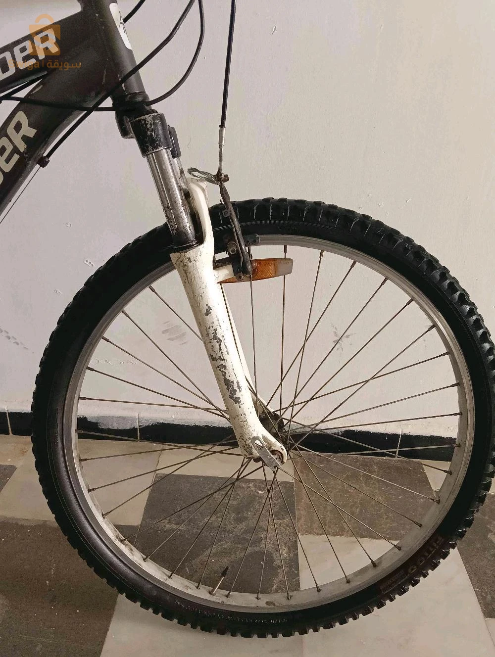 Velo