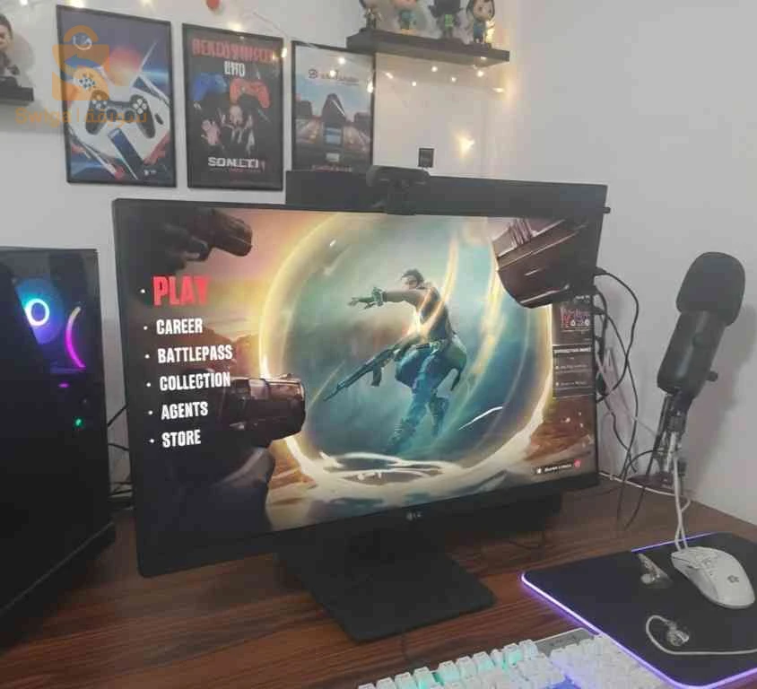 Ecran LG Professional