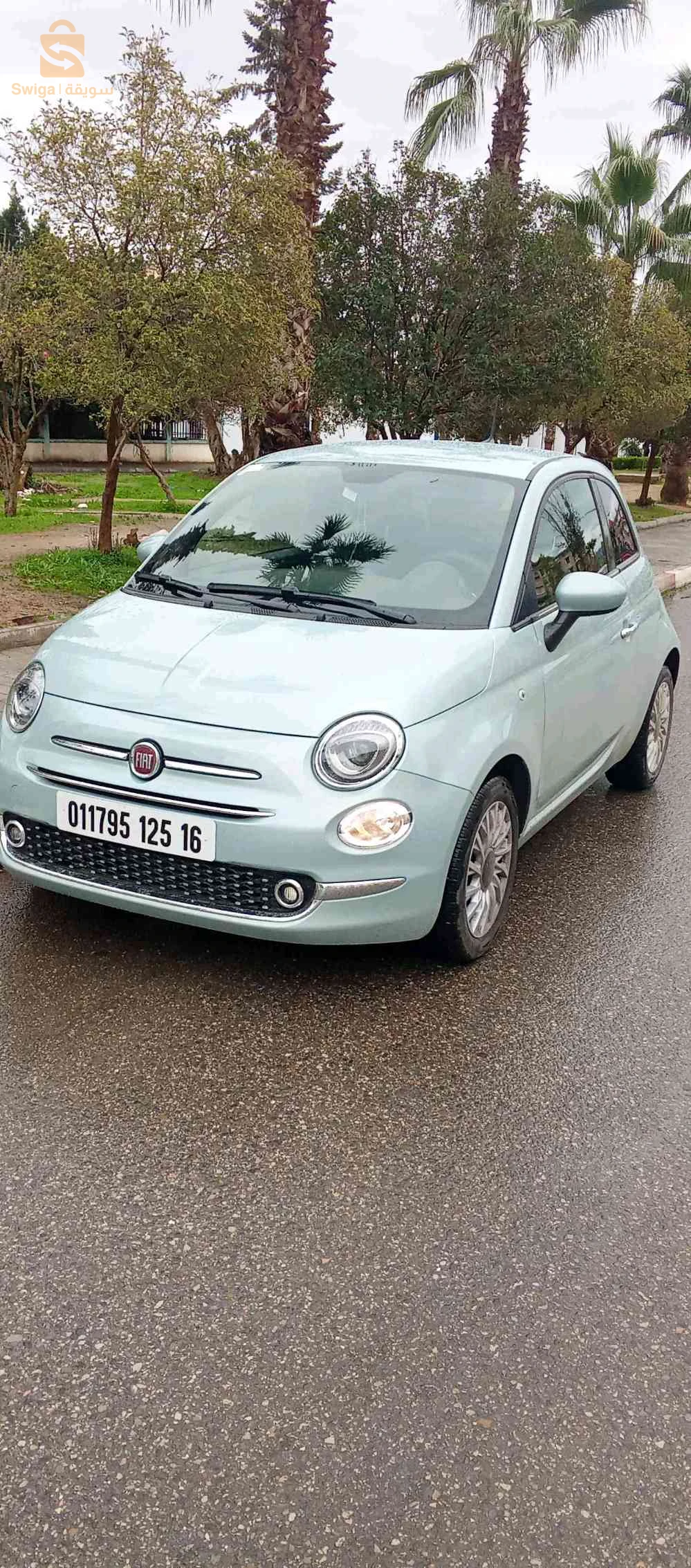 فيات 500 2025 16 الجزائر