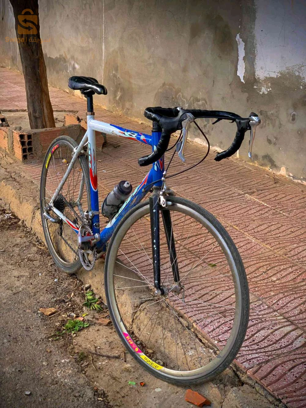 vèlo corse للبيع