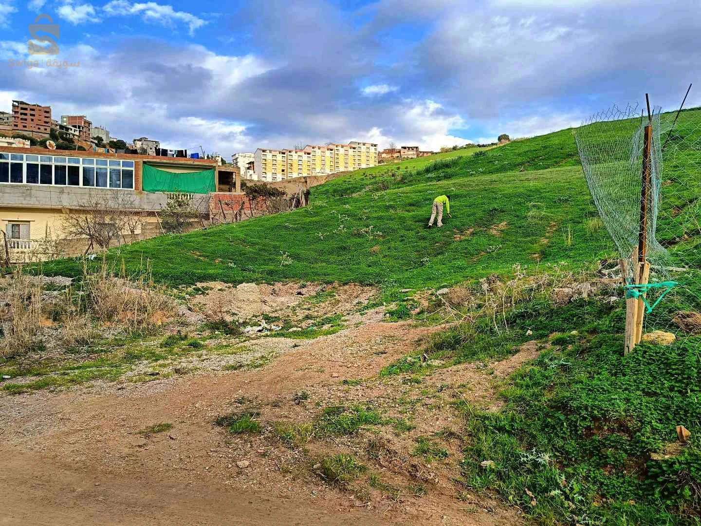 قطعة ارض بمدينة شرشال ولاية تيبازة