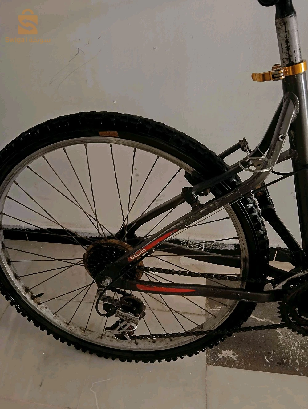Velo