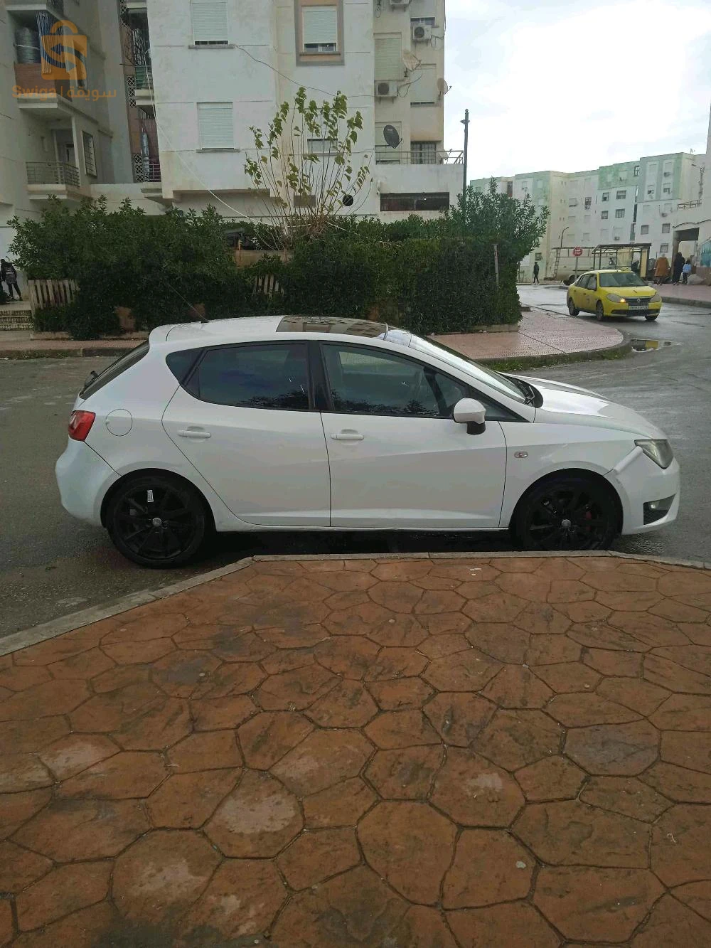 سيات Ibiza 2012 23 عنابة
