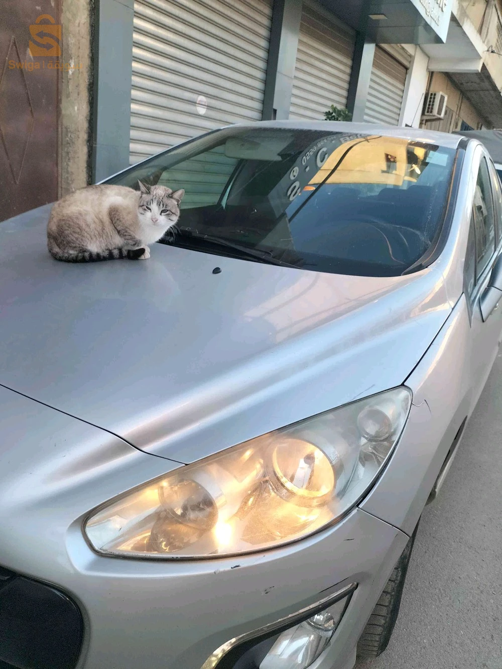 بيجو 308 2013 42 تيبازة