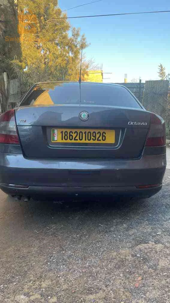 سكودا Octavia 2009 26 المدية
