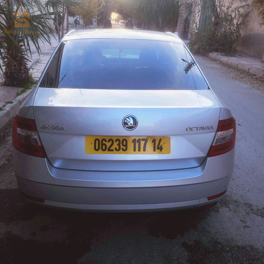 سكودا Octavia 2017 14 تيارت