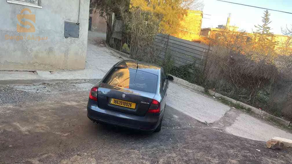 سكودا Octavia 2009 26 المدية