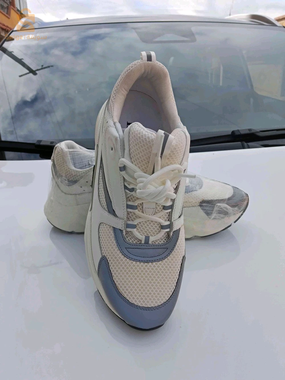basket Dior original