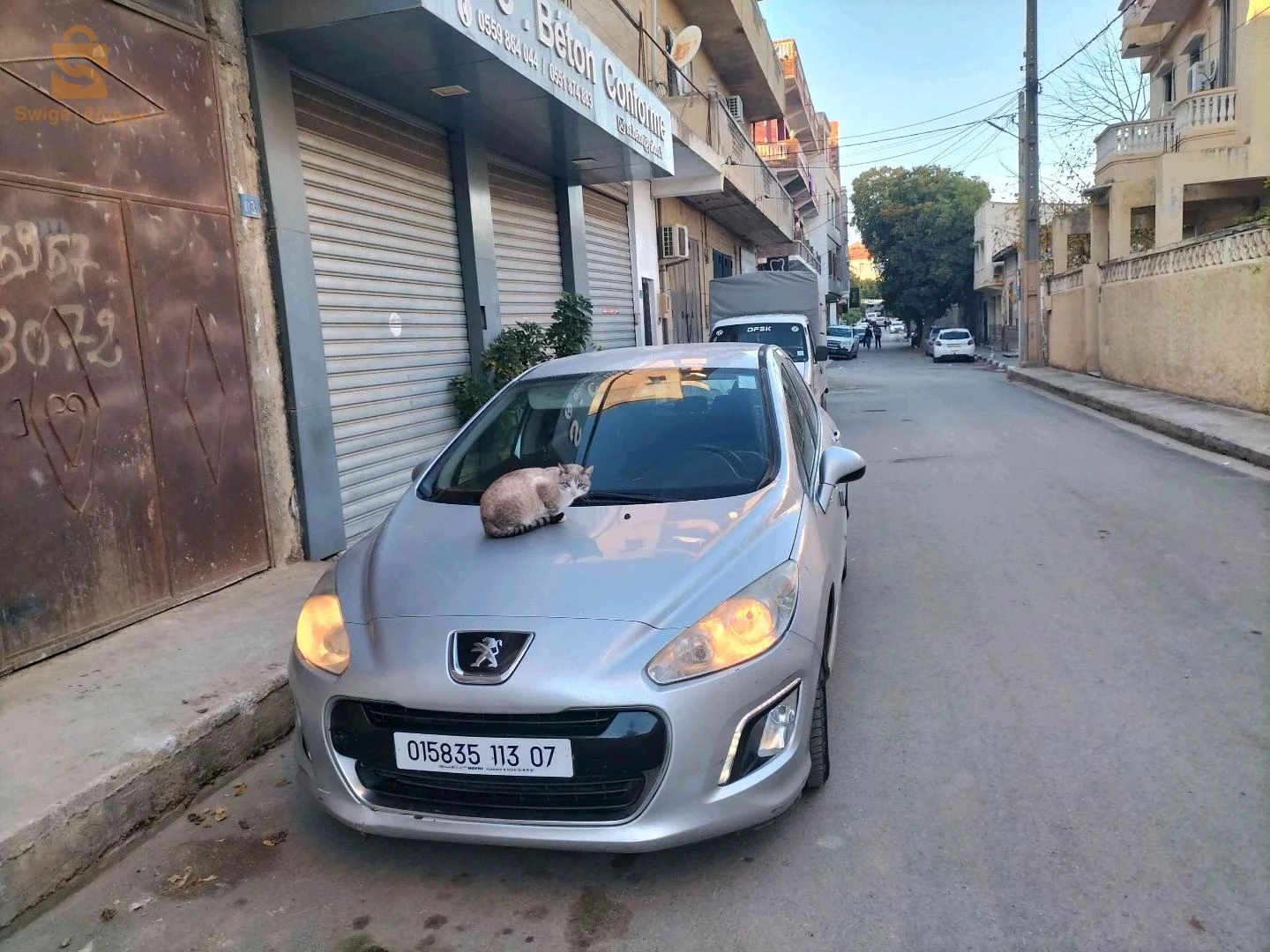 بيجو 308 2013 42 تيبازة