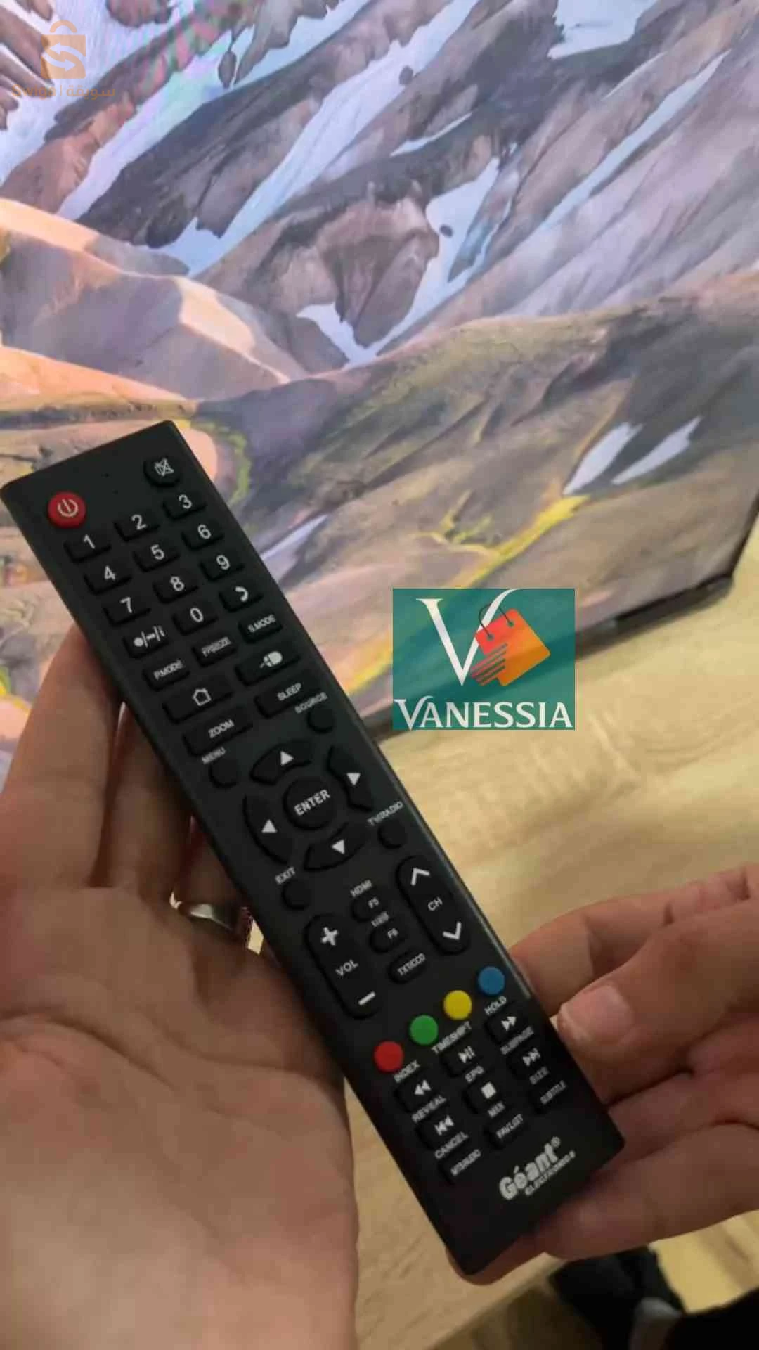 Télévision 43P Android Marque géant