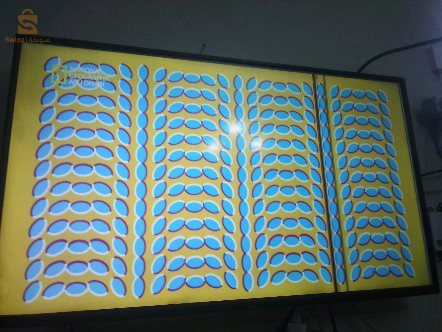 stream