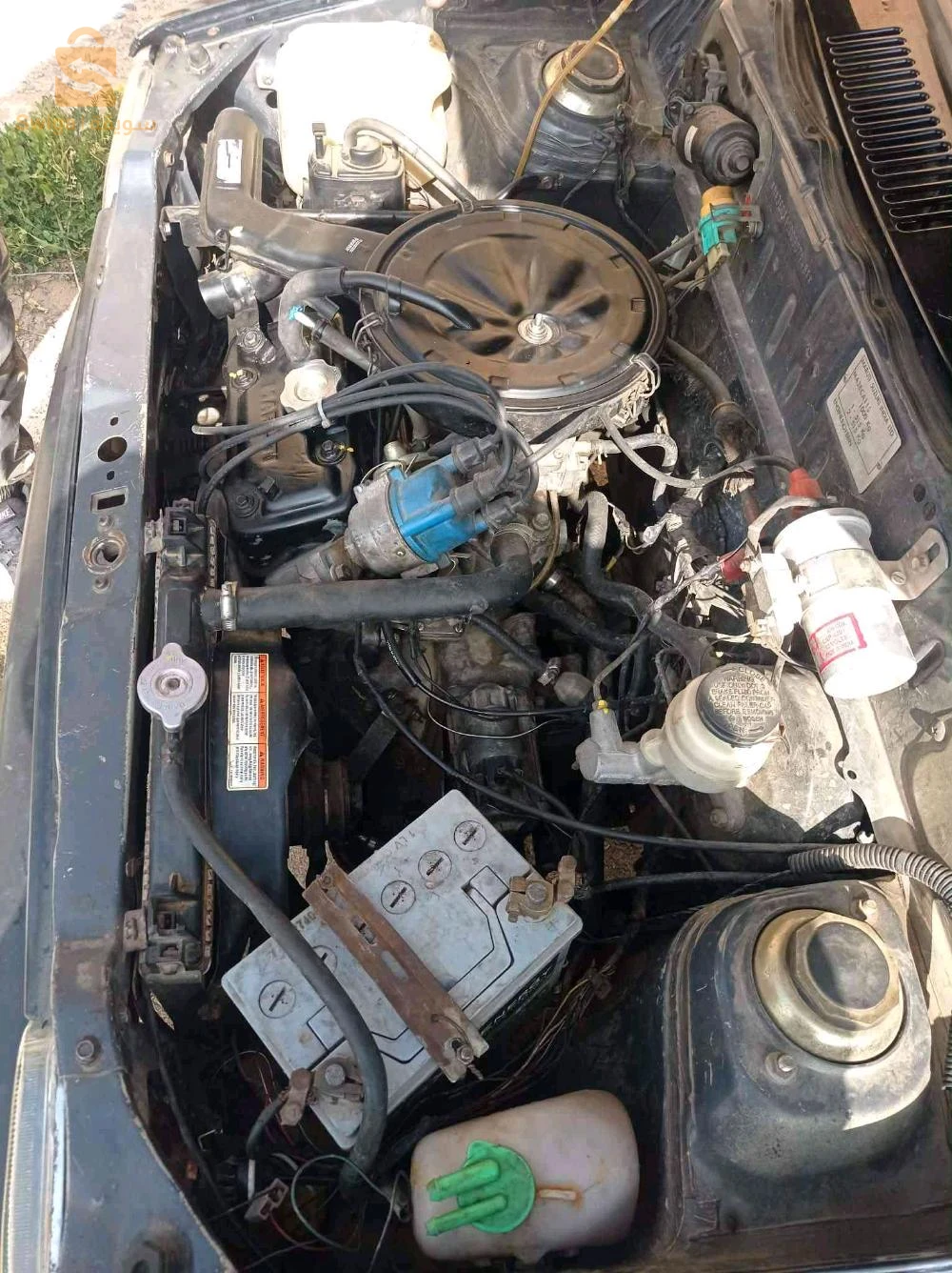 سوزوكي Maruti 2012 27 مستغانم