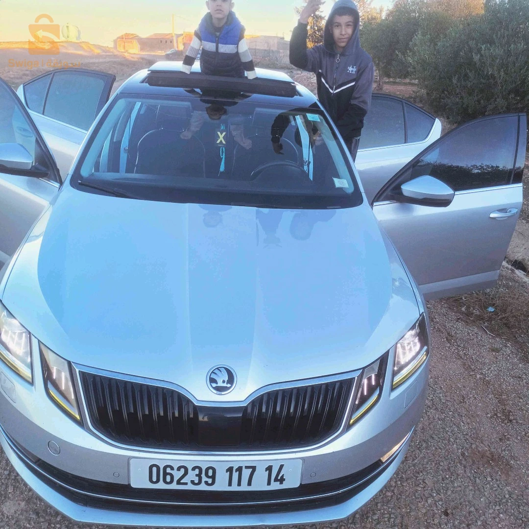 سكودا Octavia 2017 14 تيارت