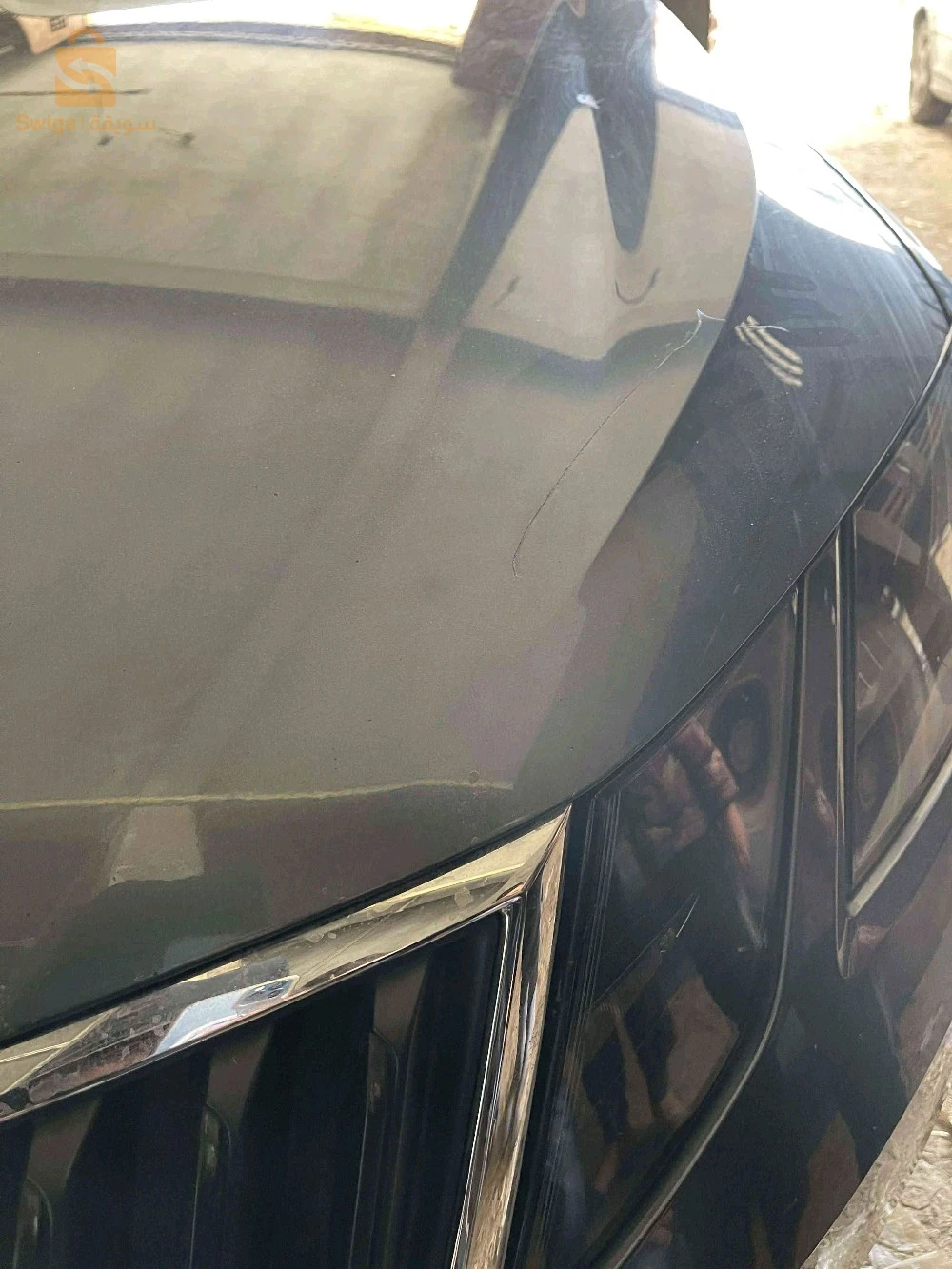 سكودا Octavia 2018 19 سطيف