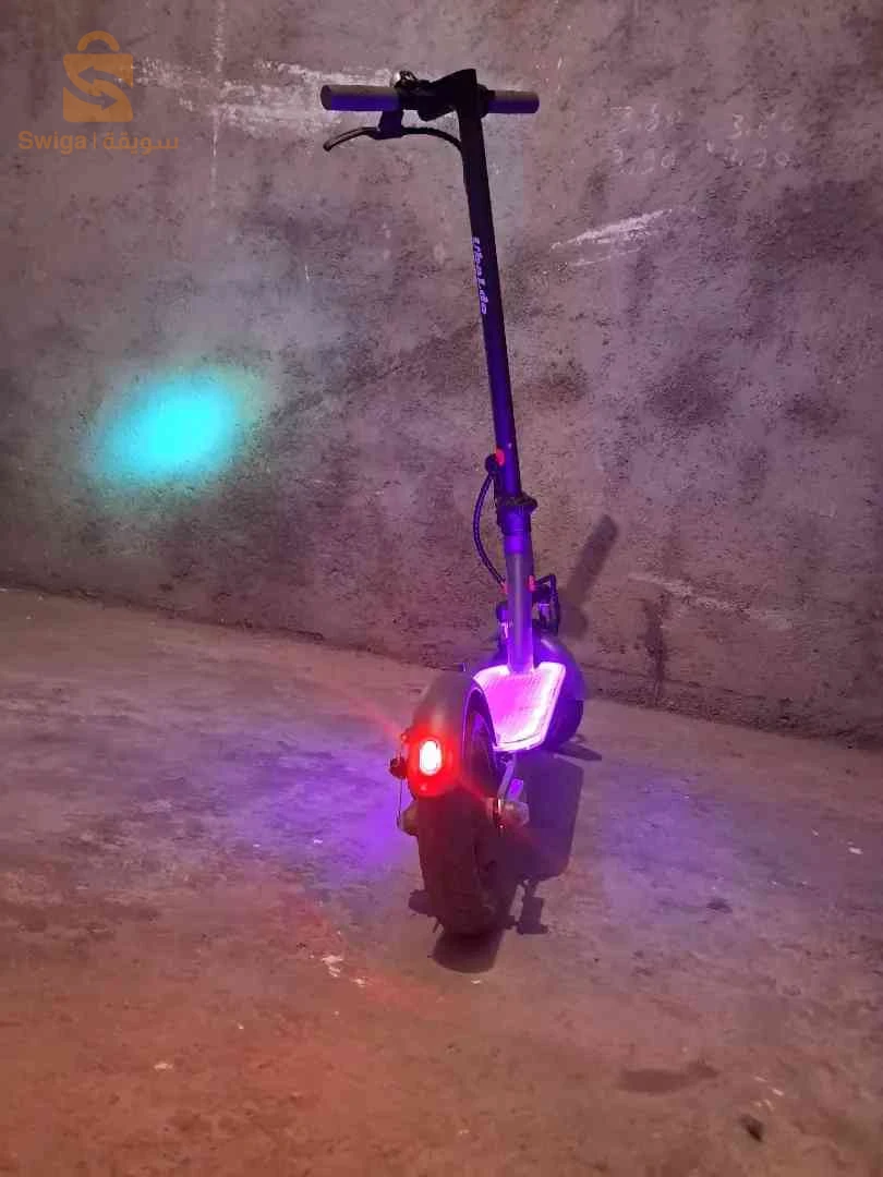 تروتينات ubaldo