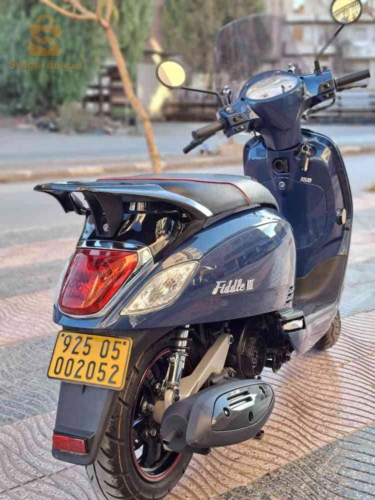 fiddle 3 2025