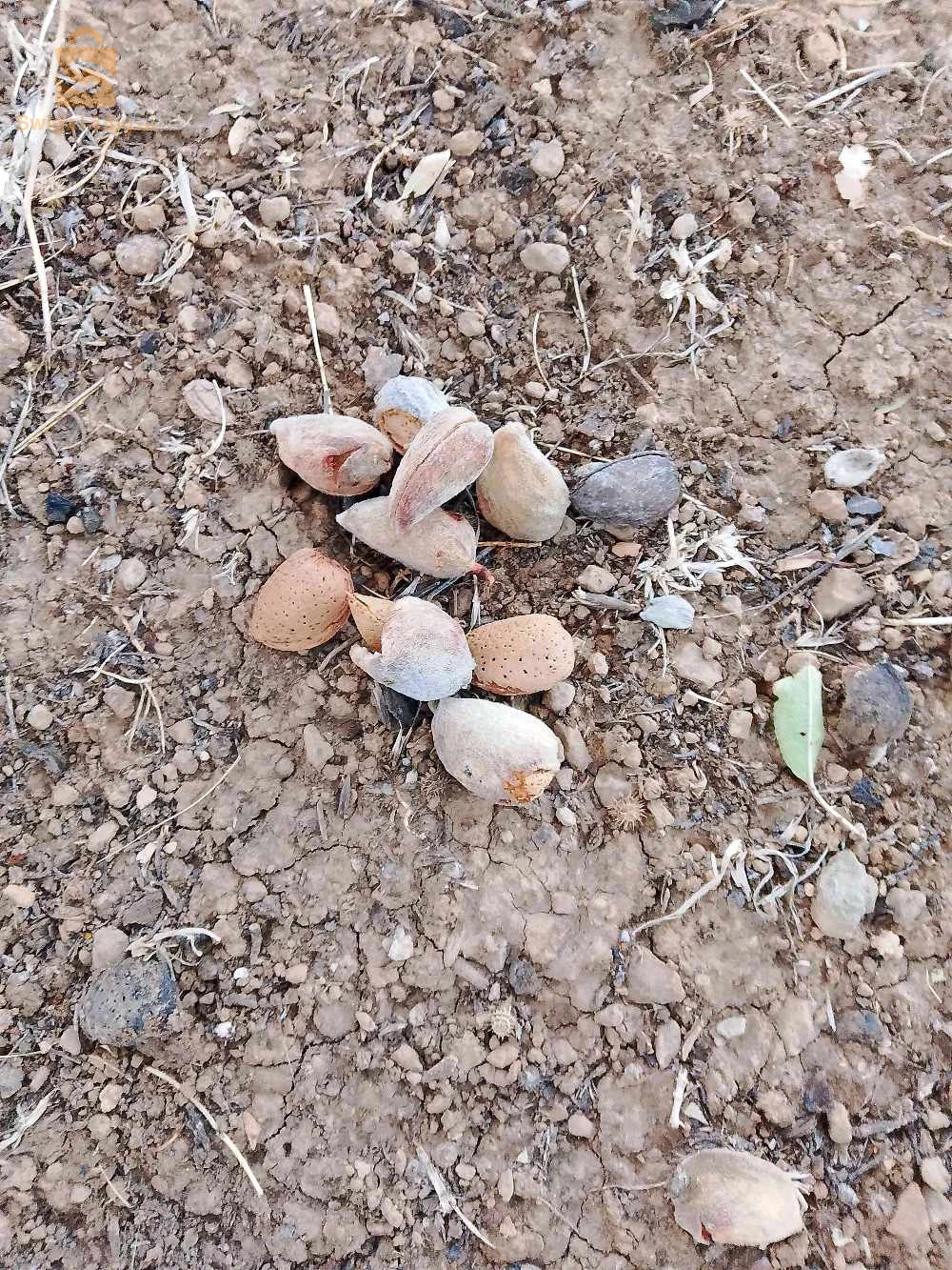 ارض فلاحية للبيع بدفتر عقاري