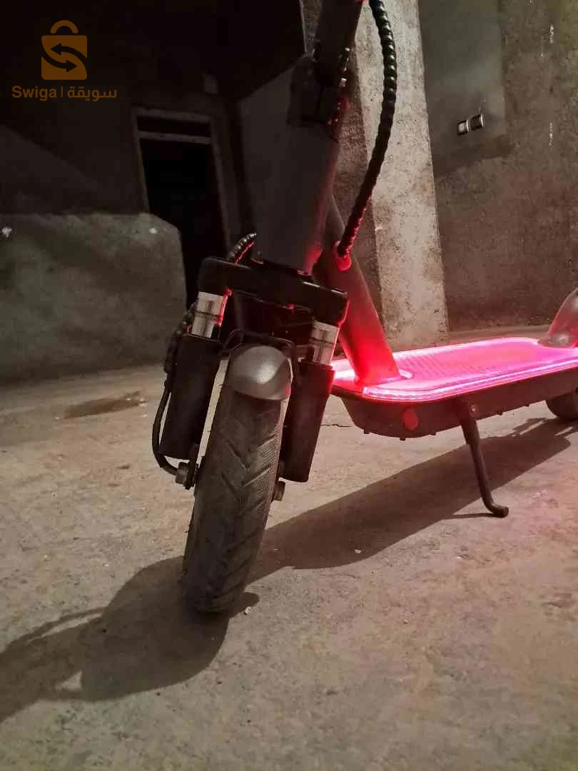 تروتينات ubaldo