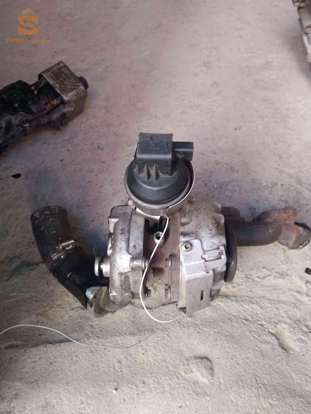 تاربو و فرواديسور للبيع