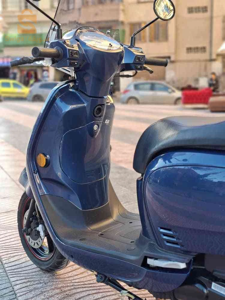 fiddle 3 2025