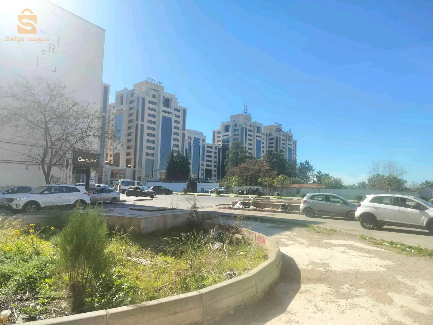 جراء شقة باب الزوار