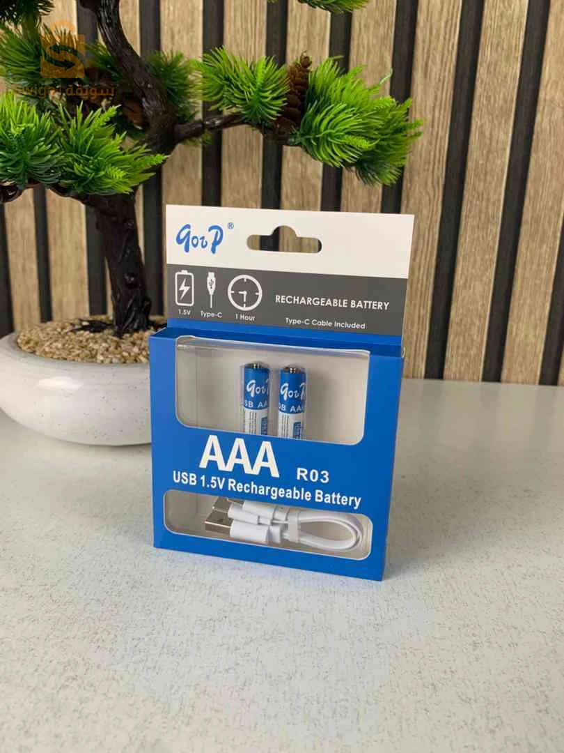 2 Pile Rechargeable Lithium-Ion Type-C 1.2V 800mA – بطاريةقابلة للشحن