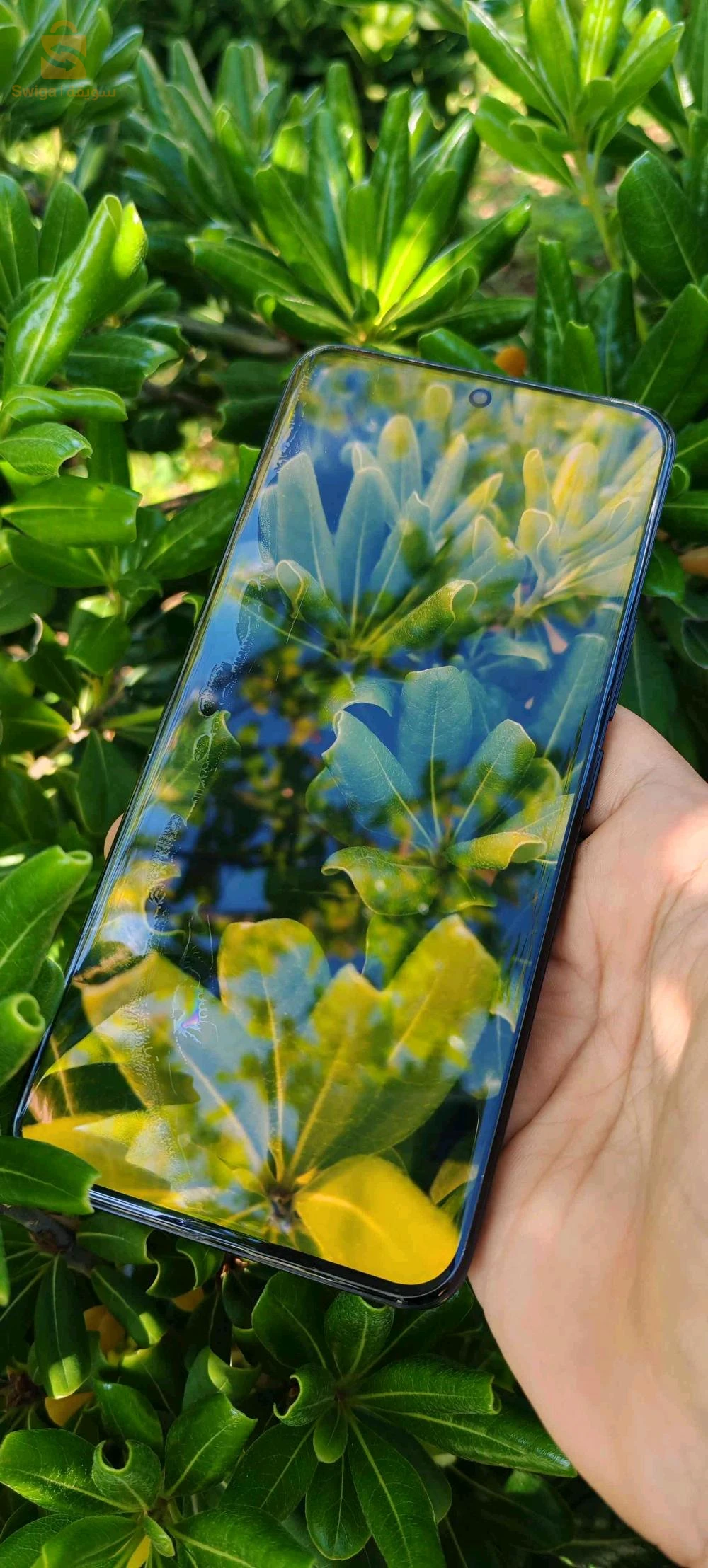 Honor 200