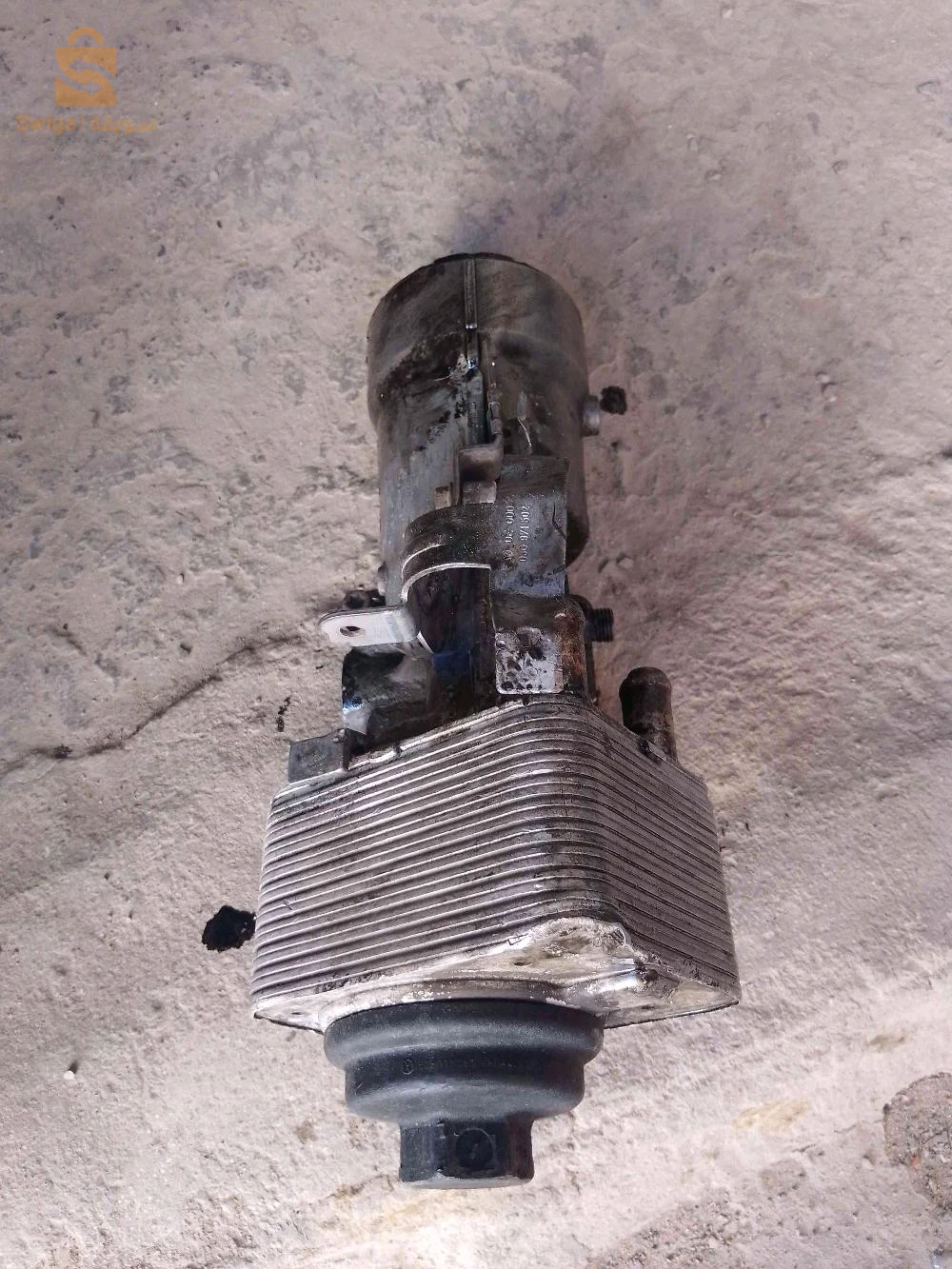 تاربو و فرواديسور للبيع