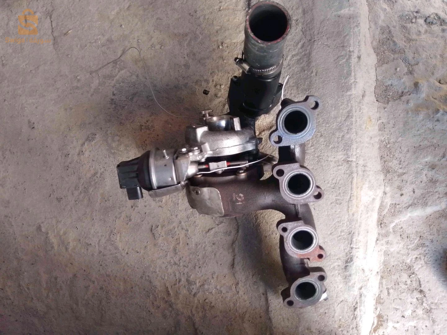 تاربو و فرواديسور للبيع
